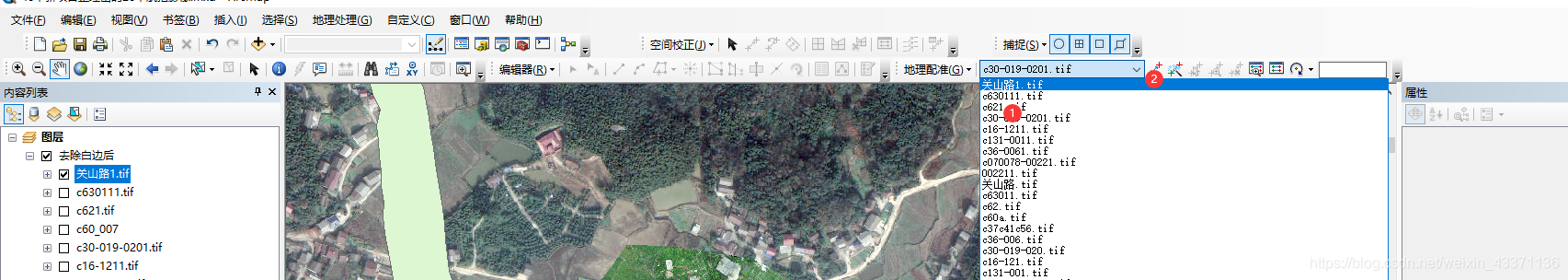 android arcgis100加载tif数据 arcgis加载tiff影像_javascript_03