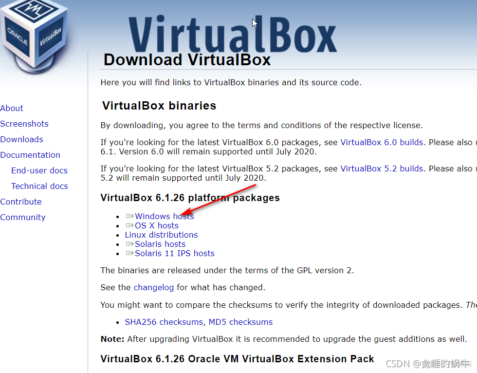 virtualbox怎么打开虚拟机虚拟化支持 virtual box 虚拟机_IP