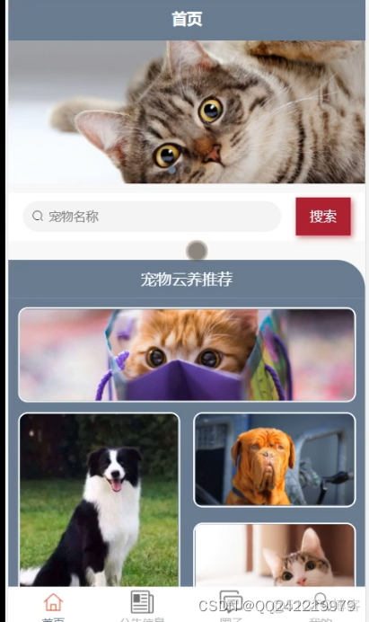 基于Spring boot的宠物领养系统 宠物领养软件_功能模块