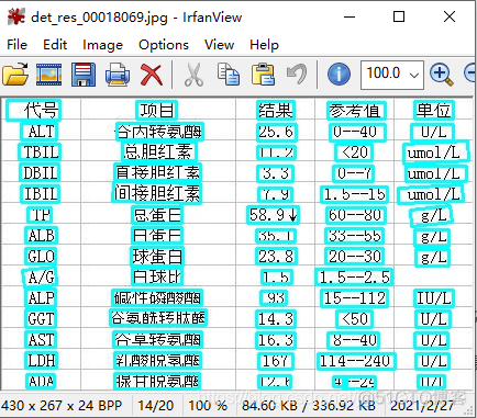 paddlenlp预训练模型下载 paddleocr训练模型_ide_04