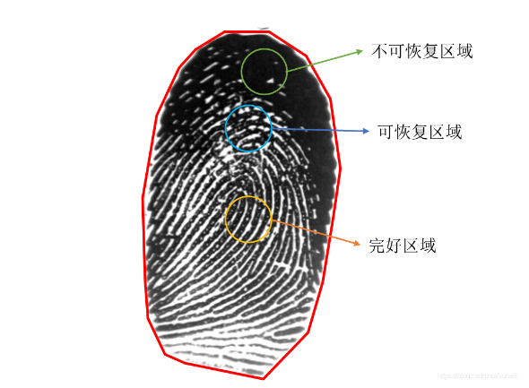 数字图像处理 指纹处理 python 指纹图像处理算法_数字图像处理 指纹处理 python