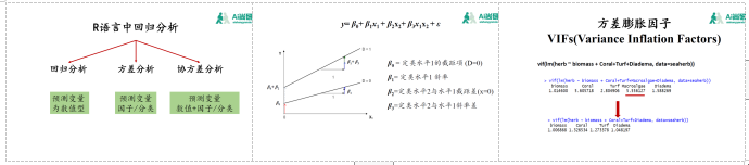 python混合效应模型 混合效应回归_r语言_02