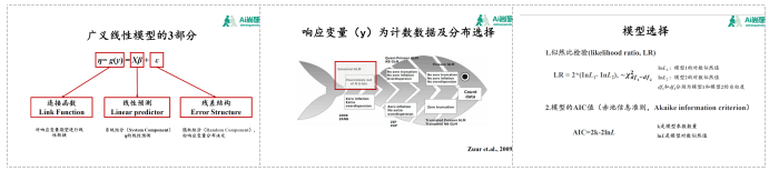 python混合效应模型 混合效应回归_回归分析_03