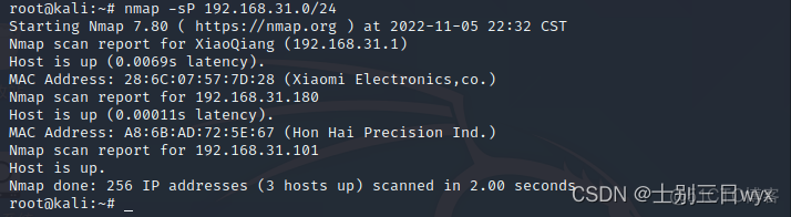 java调用nmap进行端口扫描 nmap指定端口扫描指令_网络安全_11