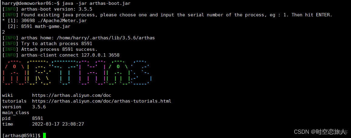 Arthas 看不着java进程 arthas classloader_jar_06