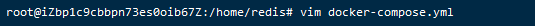 redis qingli redis 轻量_docker_08