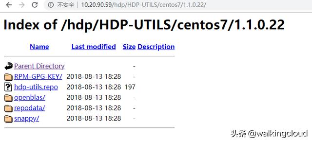 ambari搭建hadoop ambari安装hadoop(centos7)_ambari搭建hadoop_19