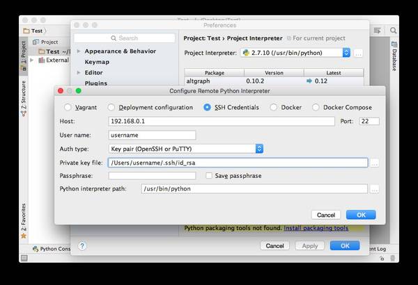 python ssh password 写变量 ssh pycharm_Deployment_03