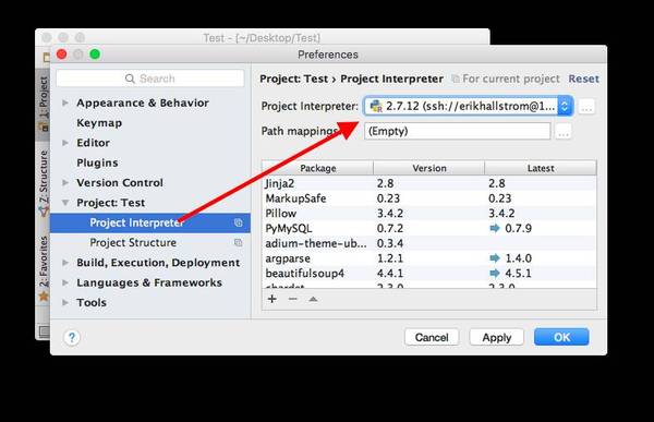 python ssh password 写变量 ssh pycharm_Deployment_04