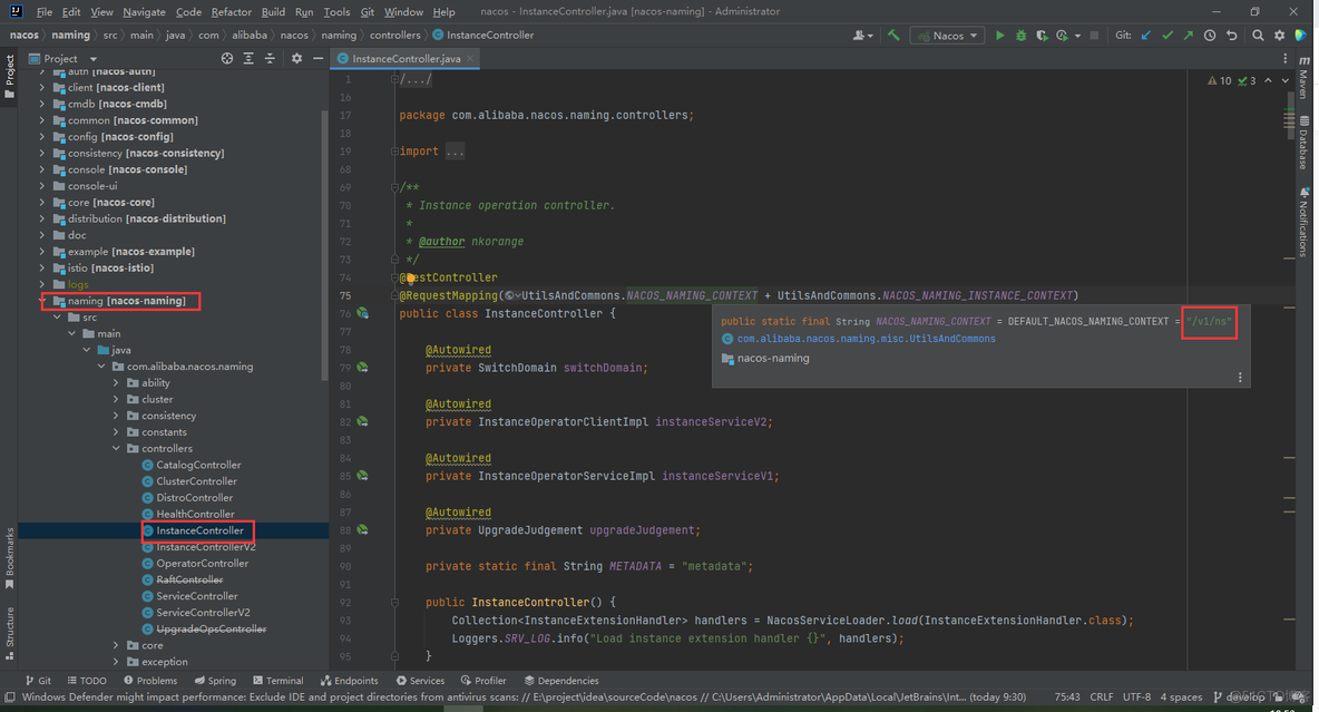 nacos client java 示例 nacos instance_ide_02