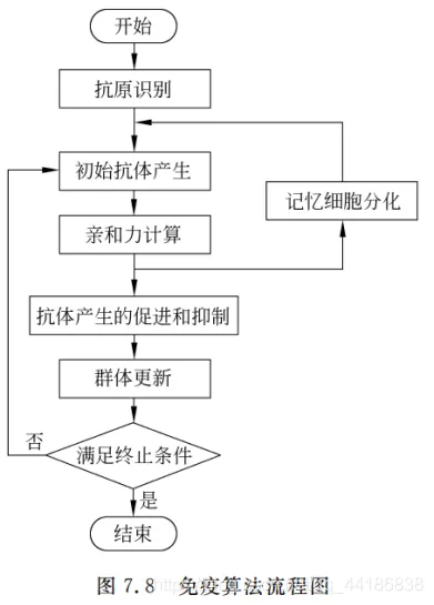 ios 允许网络授权回调 免疫算法的基本原理_机器学习_05