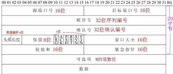 tcp协议的mysql网络协议的协议代码 tcp协议数据_数据