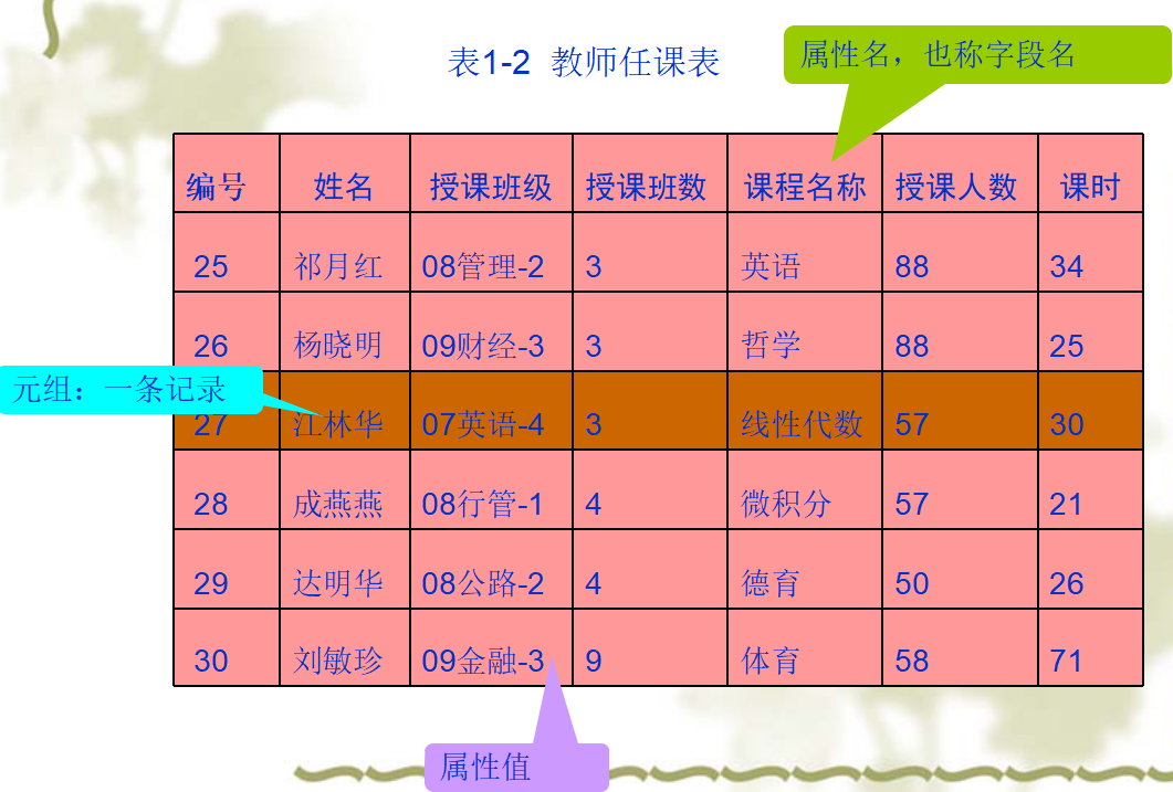 数据库表对应java的对象 数据库对象有_数据库_02