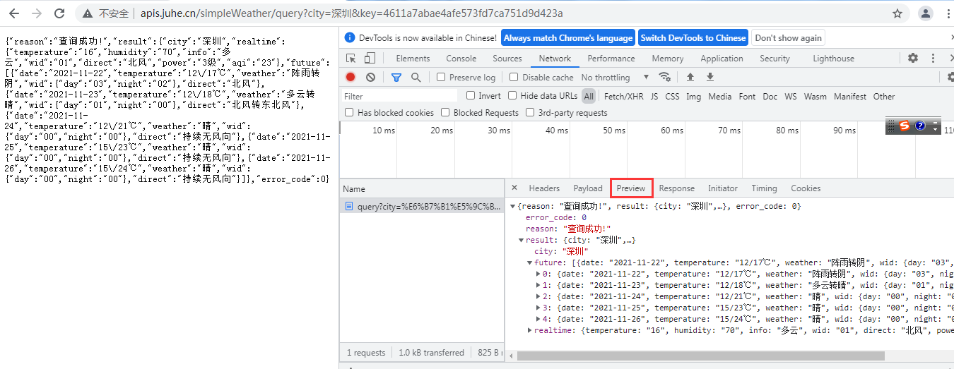 浏览器开发者工具可以看axios代理到何处吗 浏览器开发者调试工具_Chrome_08