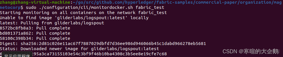 Hyperledger Fabric 架构图 hyperledger fabric教程_区块链_29