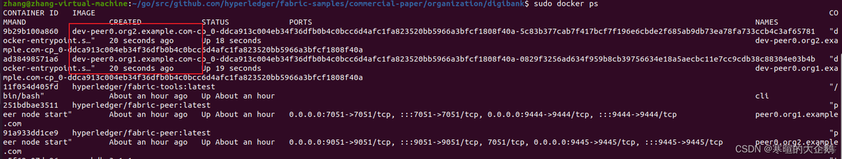 Hyperledger Fabric 架构图 hyperledger fabric教程_perl_35