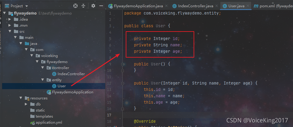 flyway 使用 Java 代码 spring flyway_sql_14