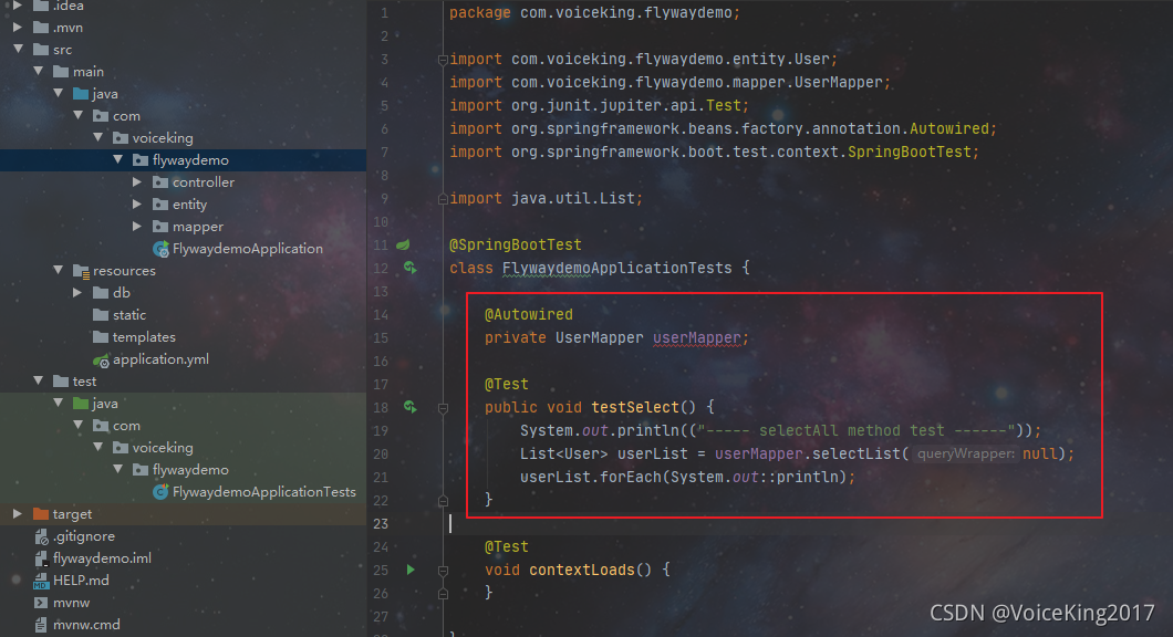 flyway 使用 Java 代码 spring flyway_sql_17