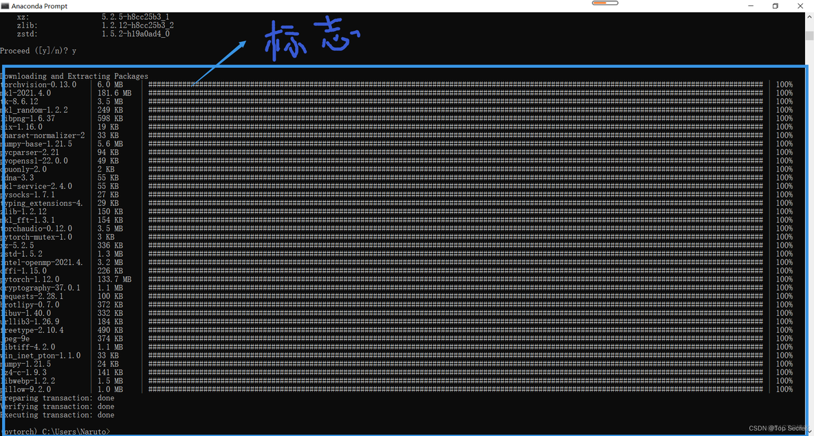 pytorch 虚拟内存 删除pytorch虚拟环境_pytorch 虚拟内存_10