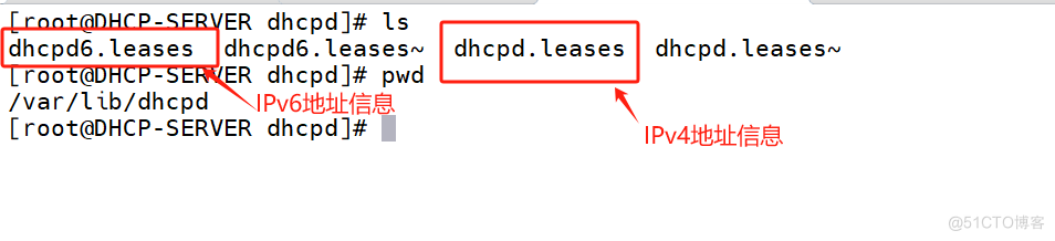 Rocky_Linux9_DHCP服务器搭建_IP_09