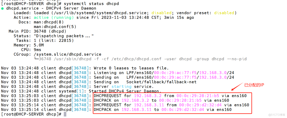 Rocky_Linux9_DHCP服务器搭建_Rocky_Linux_08