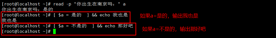 shell 判断Java 服务是否正常运行 shell判断命令结果_字符串_03