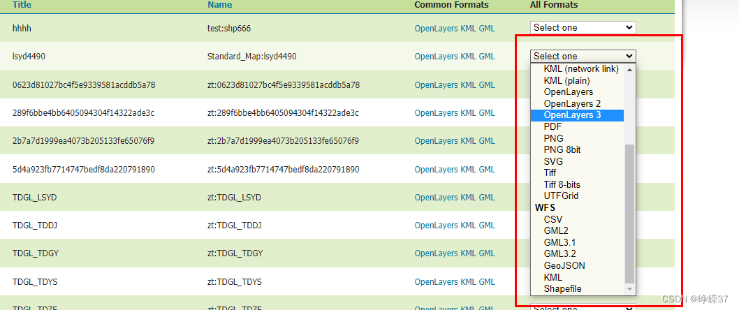 geoserver 接口开发 java geoserver 教程_图层_15