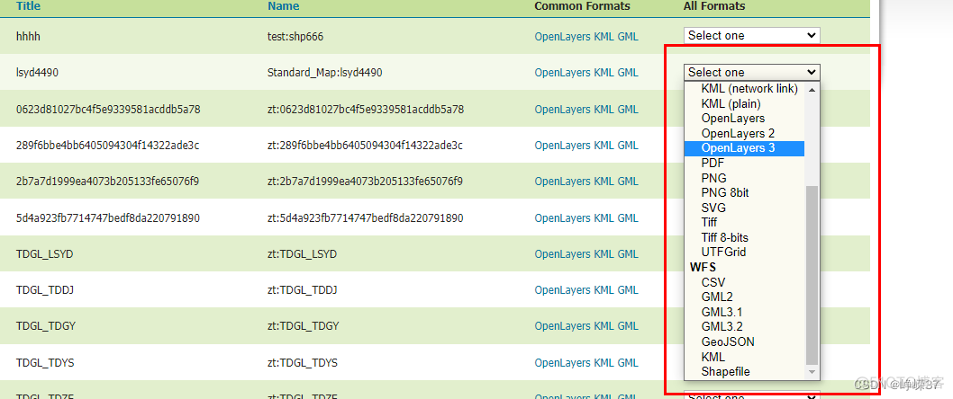 geoserver 接口开发 java geoserver 教程_图层_15