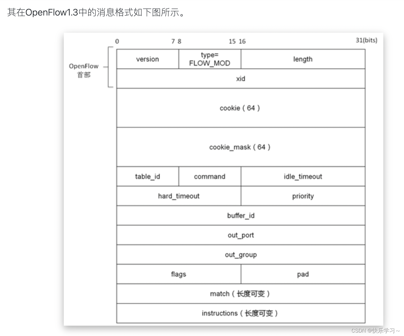 基于openflow协议的SDN架构 openflow与sdn的联系_SDN_19