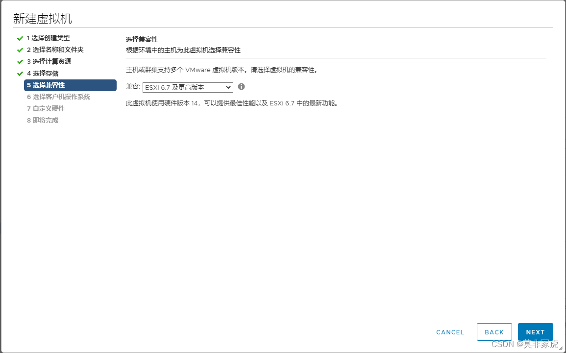 esxi 安装win10 开启虚拟化 esxi win10虚拟机_服务器_06