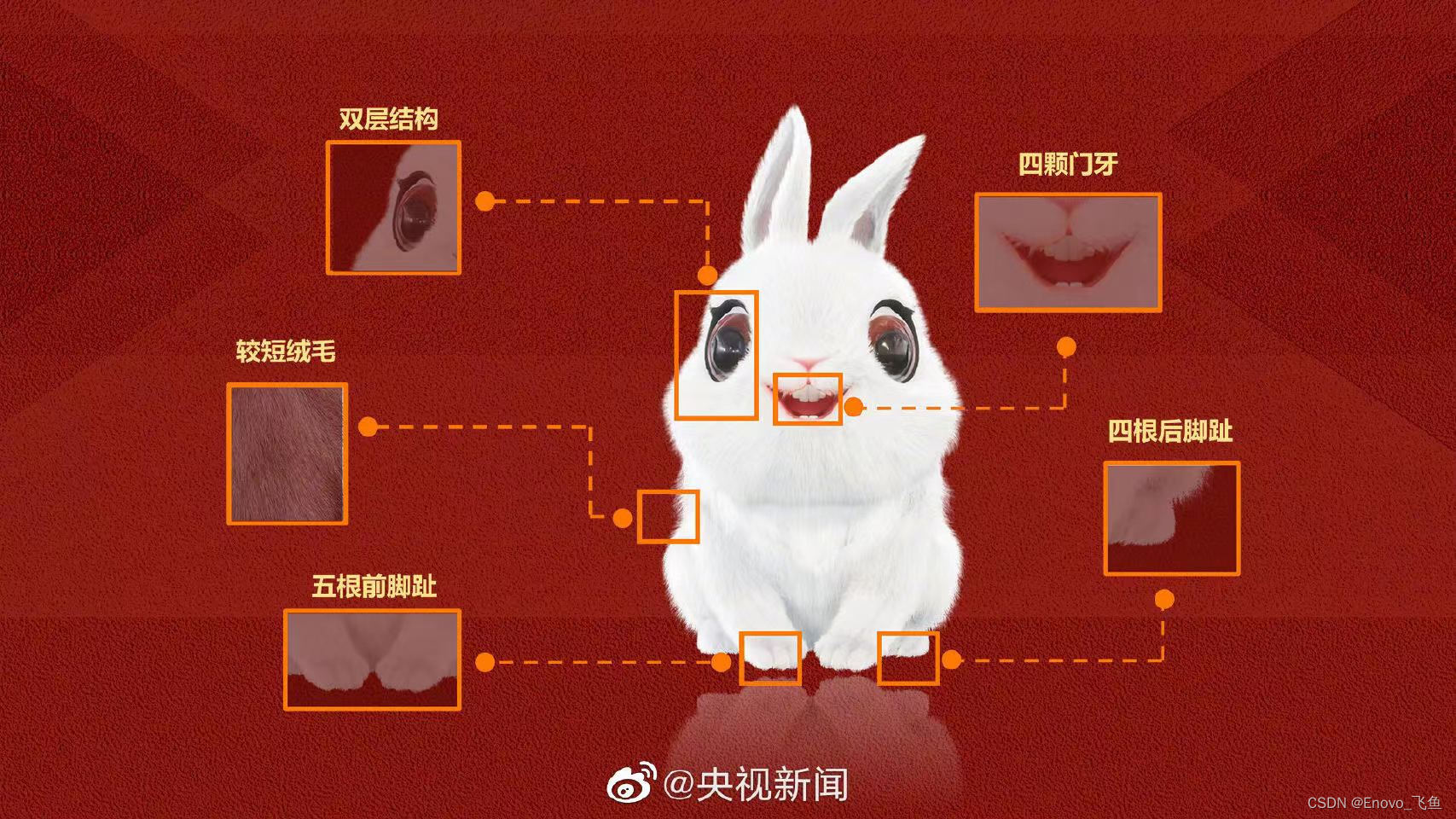 java 实现一个复杂烟花的程序 烟花java代码_javascript