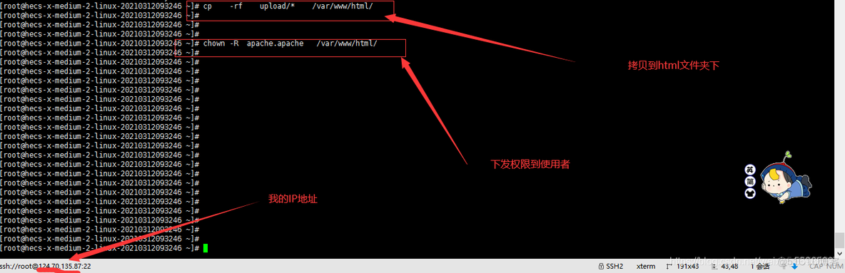 linux架构部署网站 linux架设网站_mysql_08