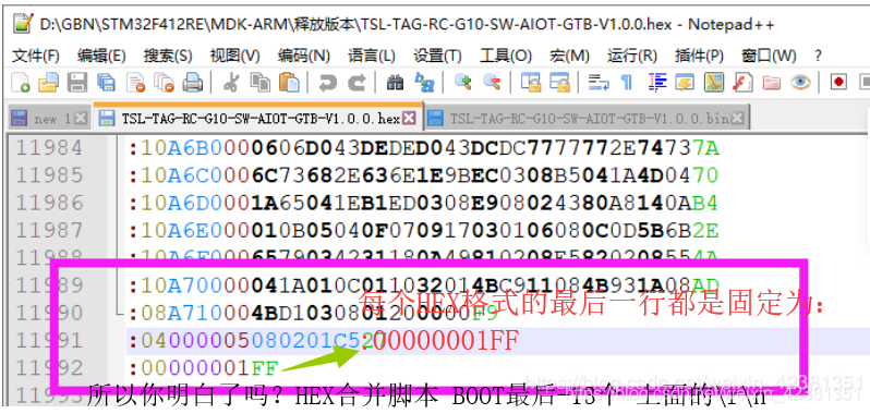 bios文件 如何从rom如何转换成bin bios文件rom能转换bin的工具_字符转换_02