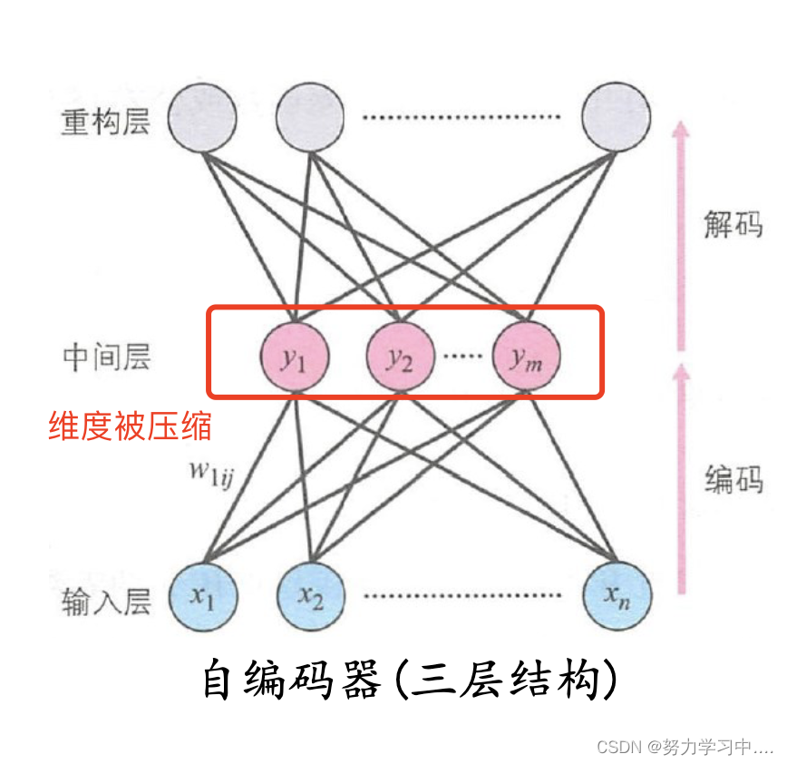 深度学习结果模型转化为代码 深度生成模型_网络_68