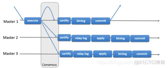 mysql 多行复制 mysql批量复制_mysql 多行复制