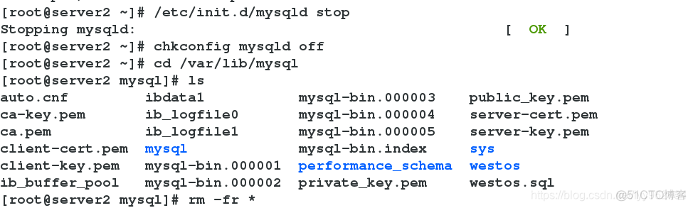 mysql 多行复制 mysql批量复制_数据_02