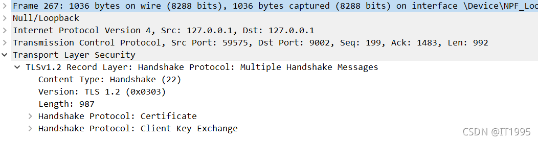 android 双向SSL验证 ssl双向认证过程_wireshark_09