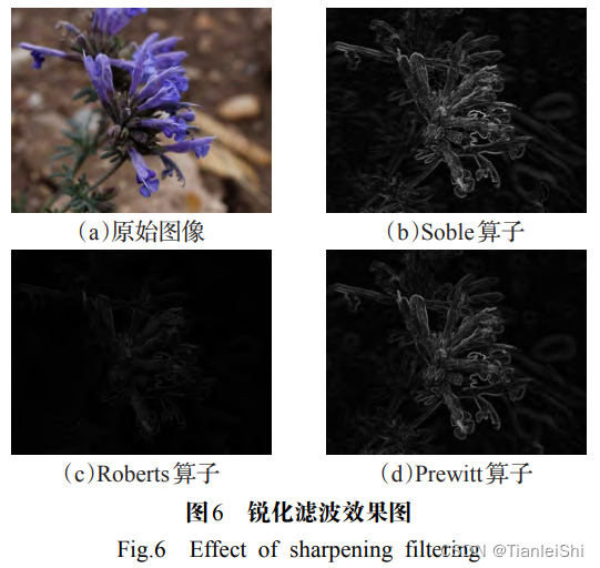 图像增广 shift 深度学习 图像增强算法改进_图像增强_07