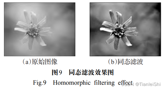 图像增广 shift 深度学习 图像增强算法改进_计算机视觉_10