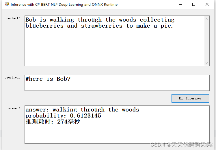 Inference with C# BERT NLP Deep Learning and ONNX Runtime_深度学习_03