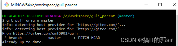 gitee android 更新代码到本地 gitee怎么更新_git_06