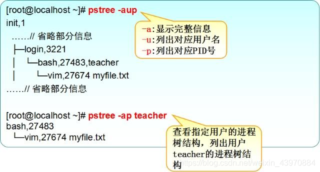 Linux 查看进程属于那个docker linux查看进程属于哪个程序_搜索_07