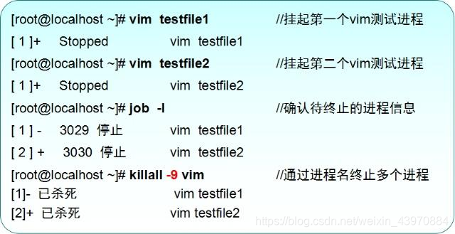 Linux 查看进程属于那个docker linux查看进程属于哪个程序_后台运行_12