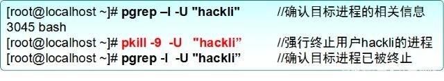 Linux 查看进程属于那个docker linux查看进程属于哪个程序_搜索_13