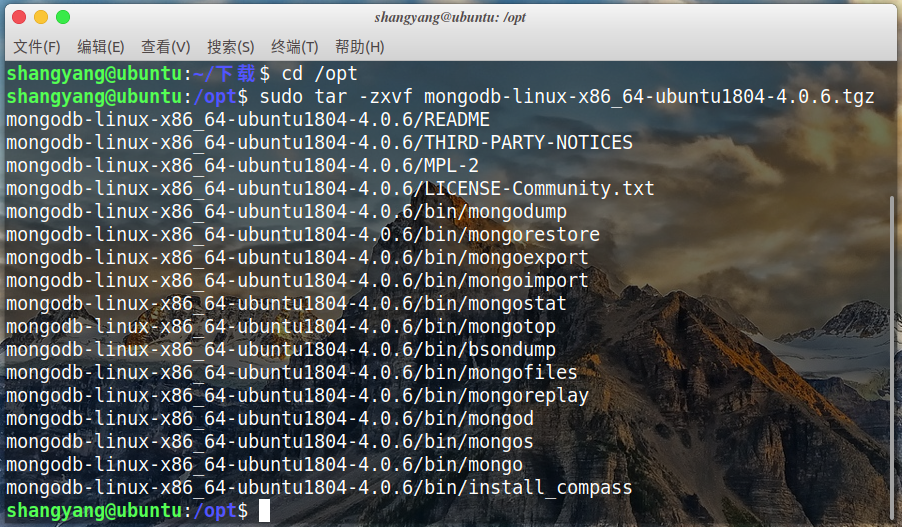 ubuntu mongodb配置文件 ubuntu下载mongodb_shell_02