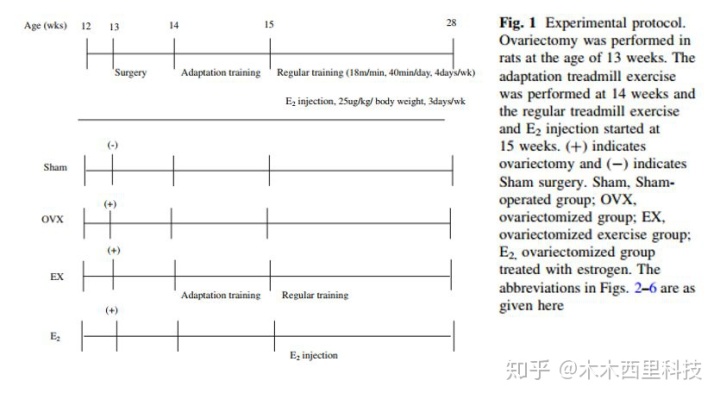 staruml怎么画体系架构图 staruml怎么画流程图_startuml如何画流程图_11