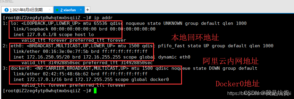 unraid docker指定网卡 unraid docker网络_网络