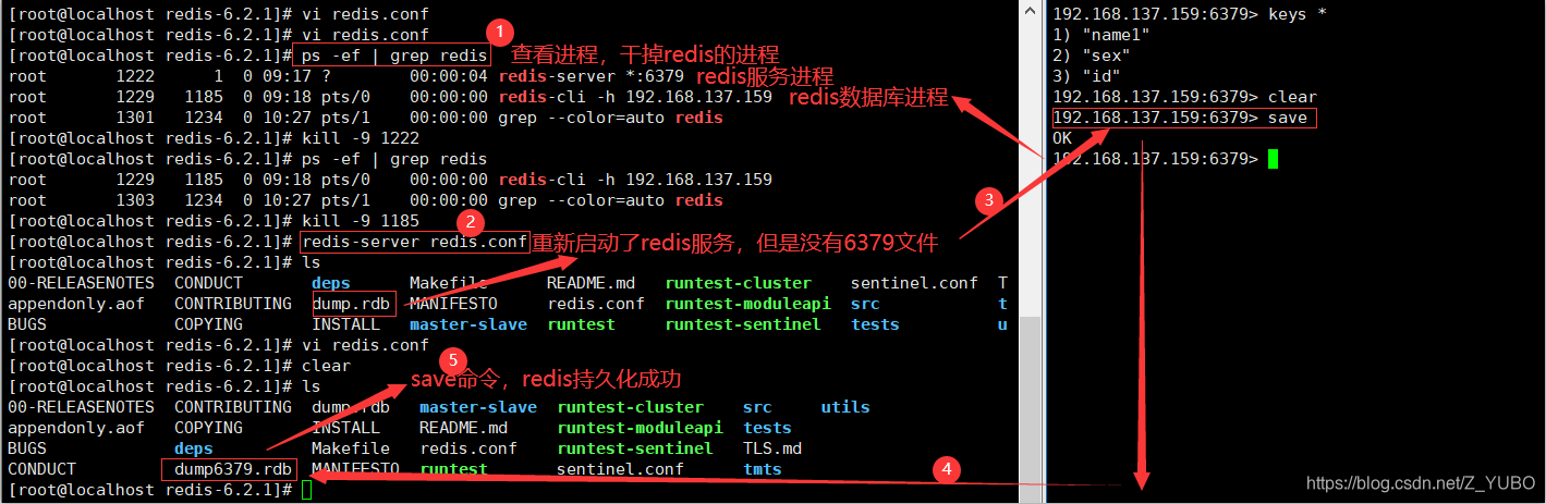 radis和mysql radis和mysql区别_radis和mysql_12