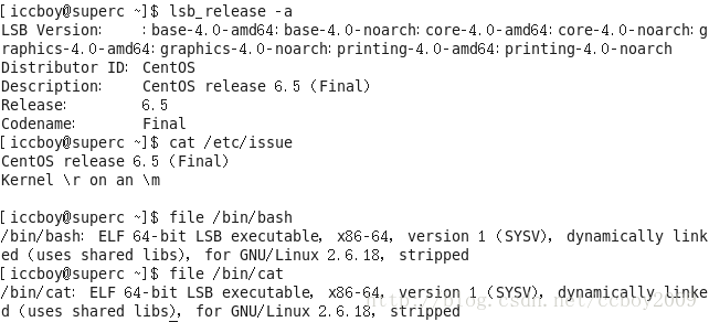 linux 编译java字符集 linux java编译器_jdk_02