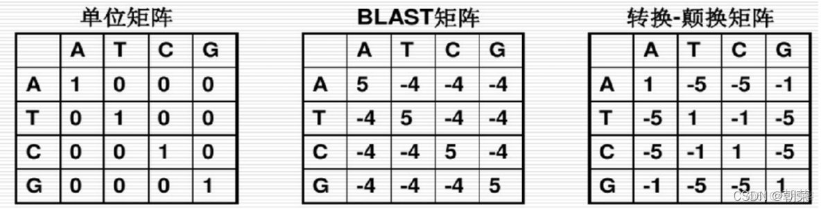 biojava比对序列 序列比对的关键问题_动态规划算法_02